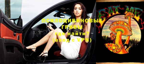ГАЛЛЮЦИНОГЕННЫЕ ГРИБЫ Алексин