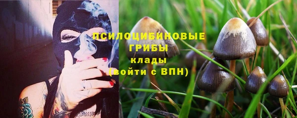 героин Алзамай
