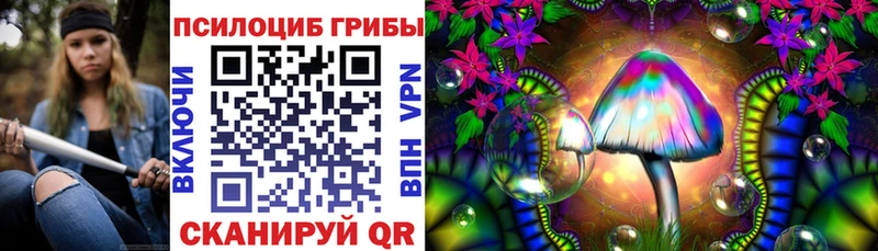 Псилоцибиновые грибы Psilocybine cubensis  Купить где  Троицк 